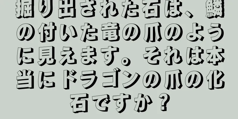 掘り出された石は、鱗の付いた竜の爪のように見えます。それは本当にドラゴンの爪の化石ですか？