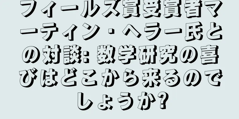 フィールズ賞受賞者マーティン・ヘラー氏との対談: 数学研究の喜びはどこから来るのでしょうか?