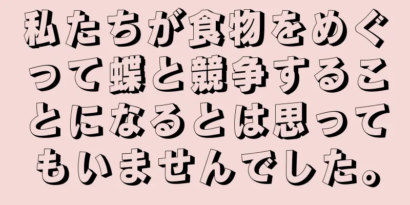 私たちが食物をめぐって蝶と競争することになるとは思ってもいませんでした。