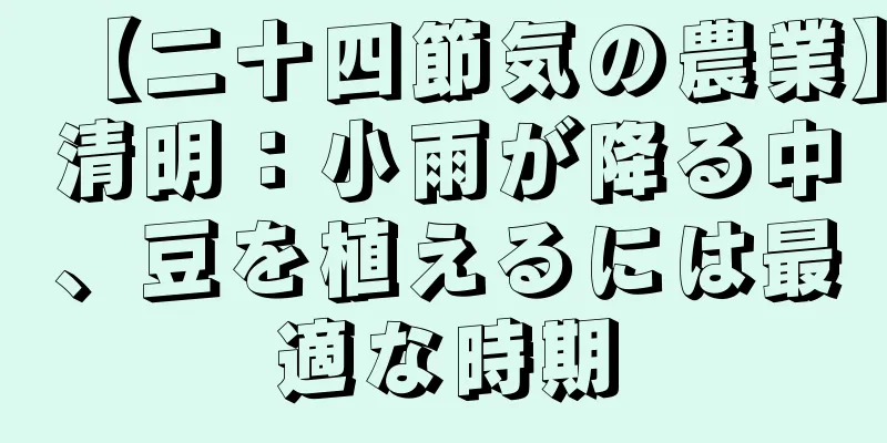 【二十四節気の農業】清明：小雨が降る中、豆を植えるには最適な時期