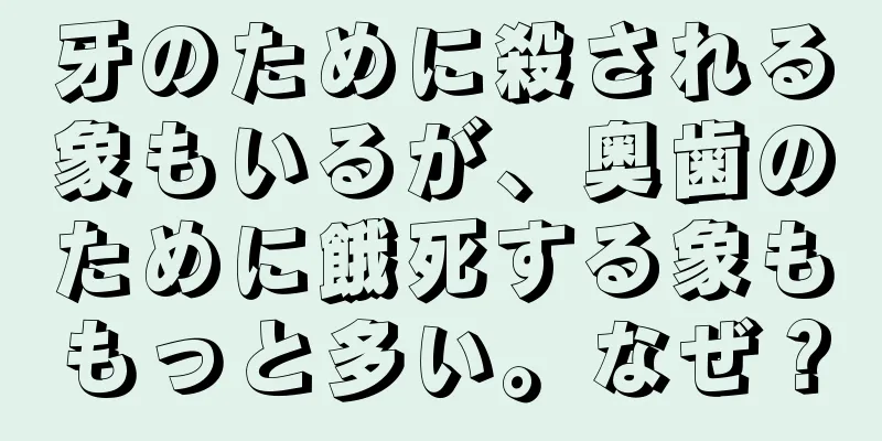 牙のために殺される象もいるが、奥歯のために餓死する象ももっと多い。なぜ？
