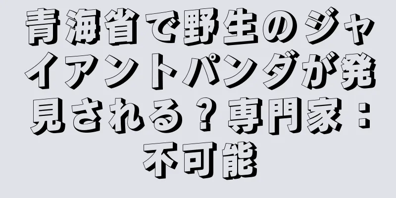 青海省で野生のジャイアントパンダが発見される？専門家：不可能