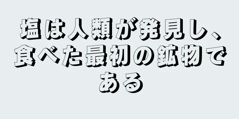 塩は人類が発見し、食べた最初の鉱物である