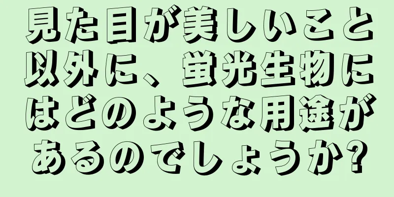 見た目が美しいこと以外に、蛍光生物にはどのような用途があるのでしょうか?