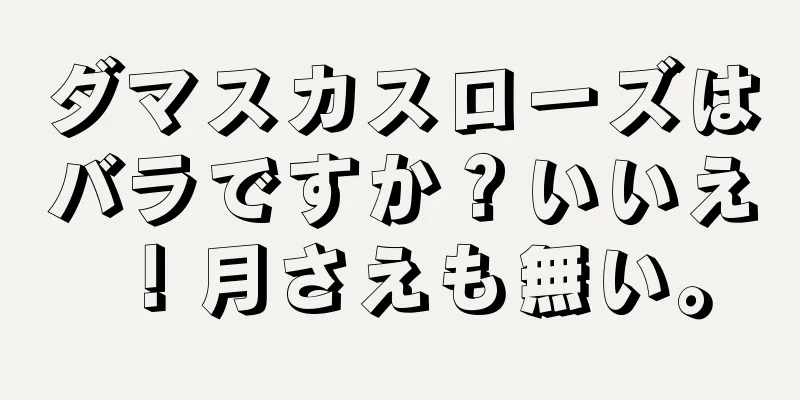 ダマスカスローズはバラですか？いいえ！月さえも無い。