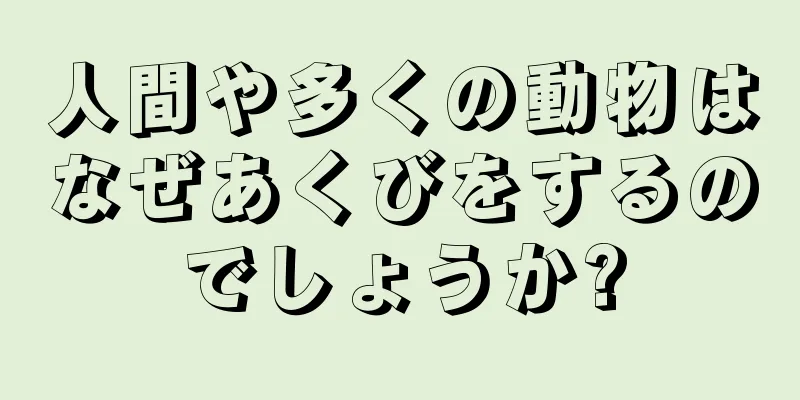人間や多くの動物はなぜあくびをするのでしょうか?