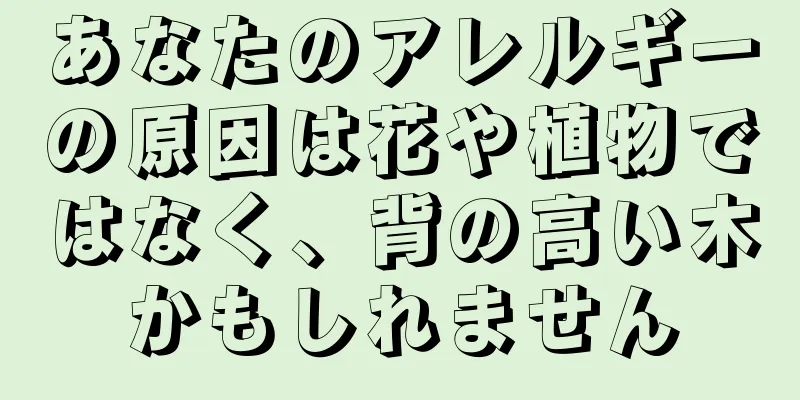 あなたのアレルギーの原因は花や植物ではなく、背の高い木かもしれません