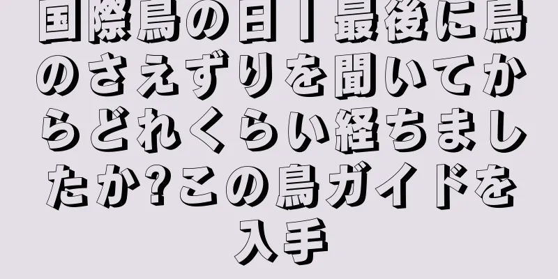 国際鳥の日丨最後に鳥のさえずりを聞いてからどれくらい経ちましたか?この鳥ガイドを入手