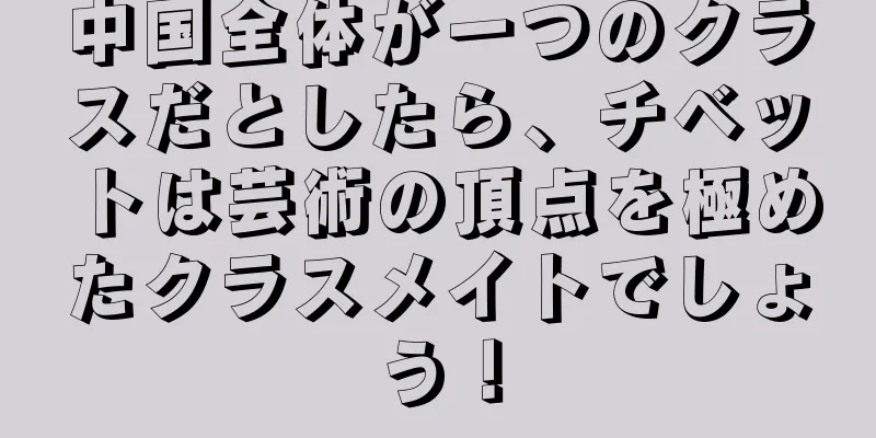 中国全体が一つのクラスだとしたら、チベットは芸術の頂点を極めたクラスメイトでしょう！