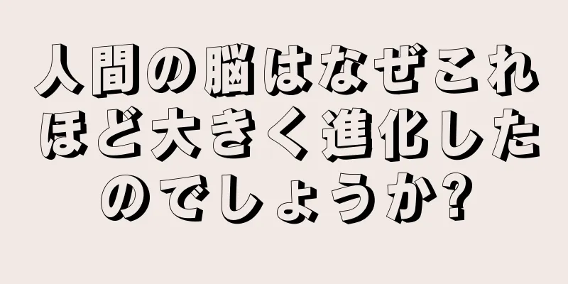 人間の脳はなぜこれほど大きく進化したのでしょうか?
