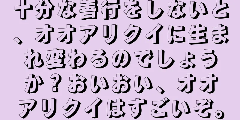 十分な善行をしないと、オオアリクイに生まれ変わるのでしょうか？おいおい、オオアリクイはすごいぞ。