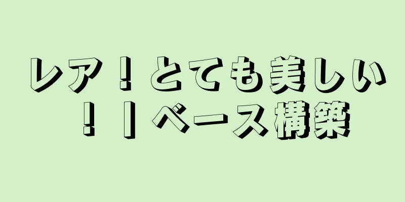 レア！とても美しい！丨ベース構築