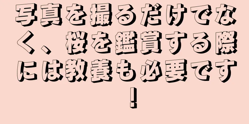 写真を撮るだけでなく、桜を鑑賞する際には教養も必要です！