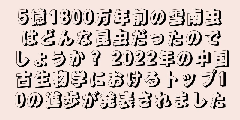 5億1800万年前の雲南虫はどんな昆虫だったのでしょうか？ 2022年の中国古生物学におけるトップ10の進歩が発表されました
