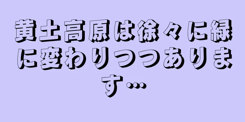 黄土高原は徐々に緑に変わりつつあります…