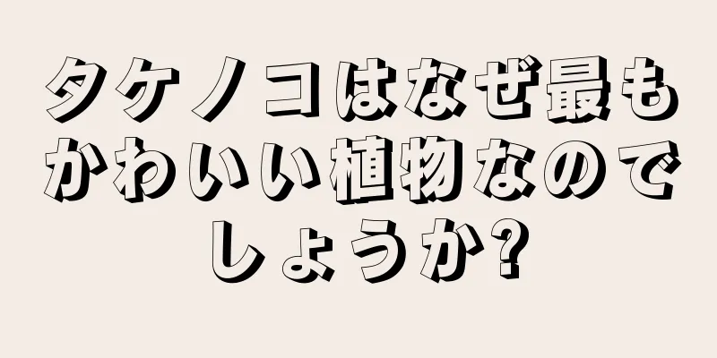 タケノコはなぜ最もかわいい植物なのでしょうか?