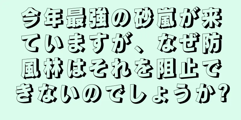 今年最強の砂嵐が来ていますが、なぜ防風林はそれを阻止できないのでしょうか?