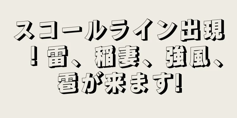 スコールライン出現！雷、稲妻、強風、雹が来ます!
