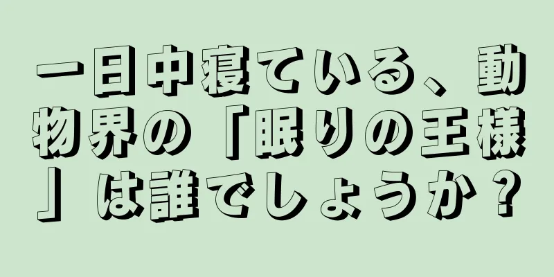 一日中寝ている、動物界の「眠りの王様」は誰でしょうか？