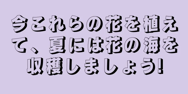 今これらの花を植えて、夏には花の海を収穫しましょう!