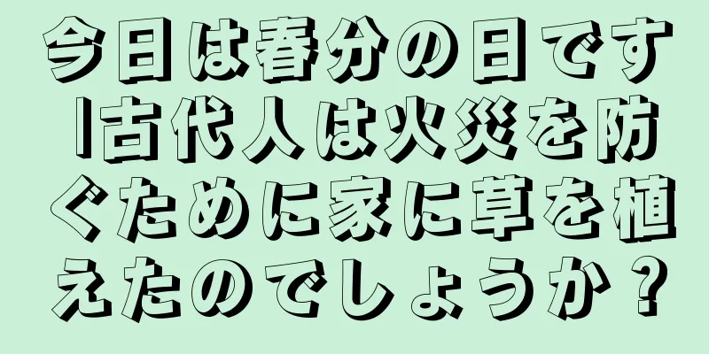 今日は春分の日です |古代人は火災を防ぐために家に草を植えたのでしょうか？