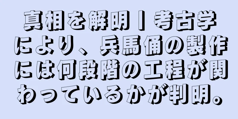 真相を解明丨考古学により、兵馬俑の製作には何段階の工程が関わっているかが判明。