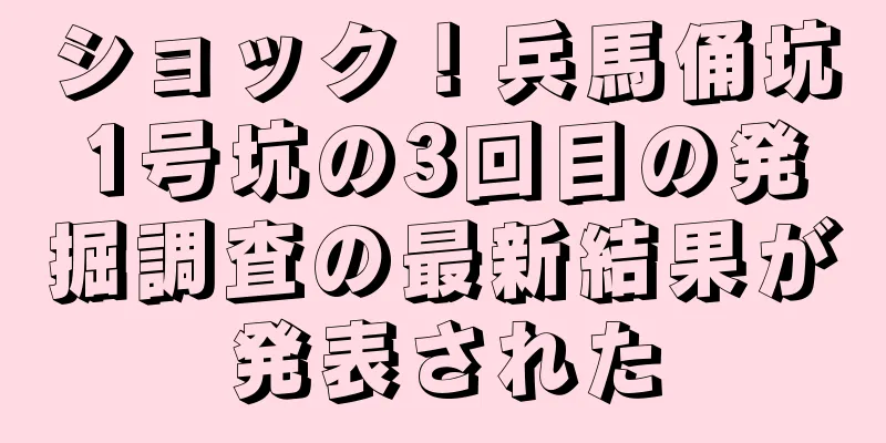 ショック！兵馬俑坑1号坑の3回目の発掘調査の最新結果が発表された