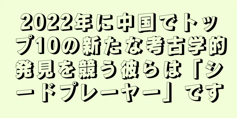 2022年に中国でトップ10の新たな考古学的発見を競う彼らは「シードプレーヤー」です