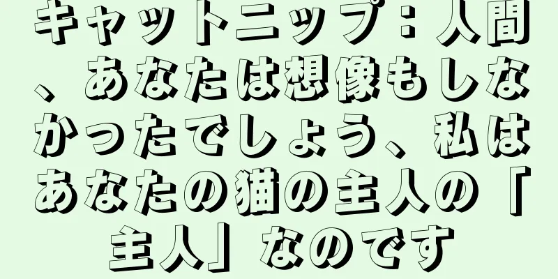 キャットニップ：人間、あなたは想像もしなかったでしょう、私はあなたの猫の主人の「主人」なのです