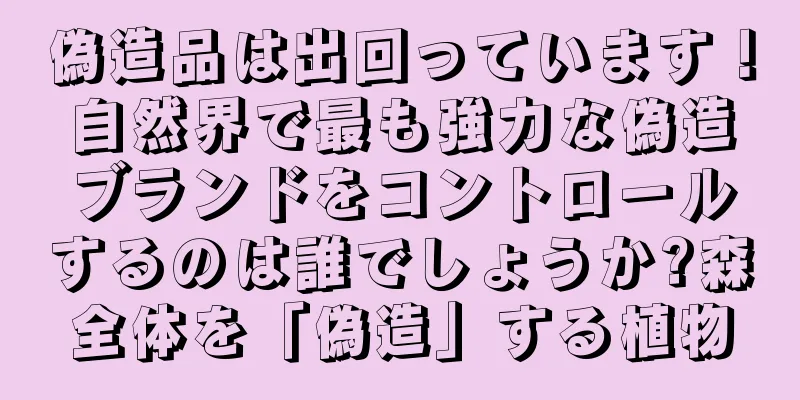偽造品は出回っています！自然界で最も強力な偽造ブランドをコントロールするのは誰でしょうか?森全体を「偽造」する植物