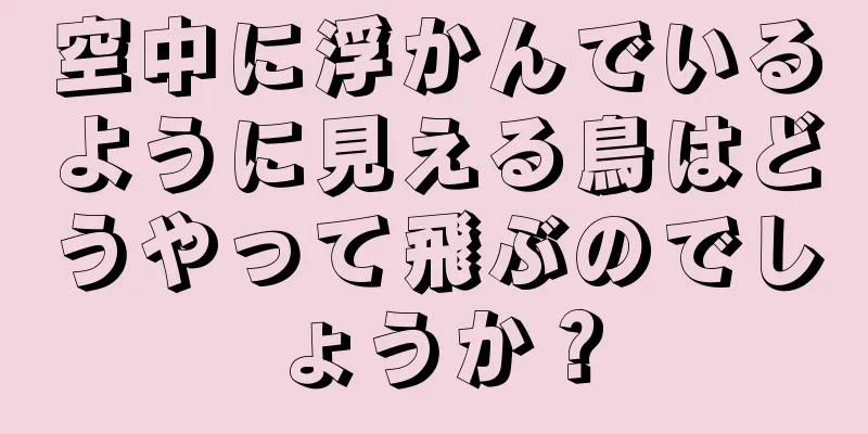 空中に浮かんでいるように見える鳥はどうやって飛ぶのでしょうか？