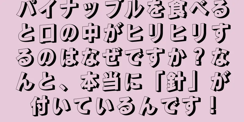 パイナップルを食べると口の中がヒリヒリするのはなぜですか？なんと、本当に「針」が付いているんです！