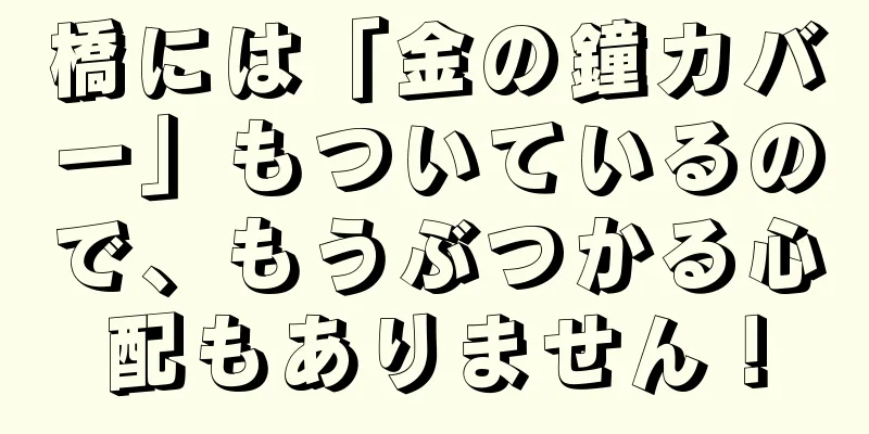 橋には「金の鐘カバー」もついているので、もうぶつかる心配もありません！