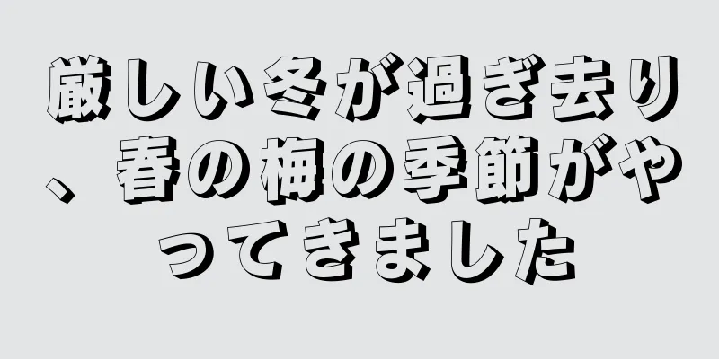 厳しい冬が過ぎ去り、春の梅の季節がやってきました