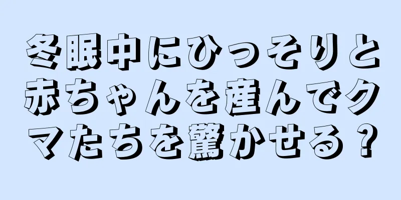 冬眠中にひっそりと赤ちゃんを産んでクマたちを驚かせる？