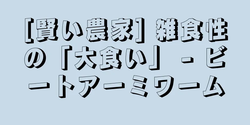 [賢い農家] 雑食性の「大食い」 - ビートアーミワーム