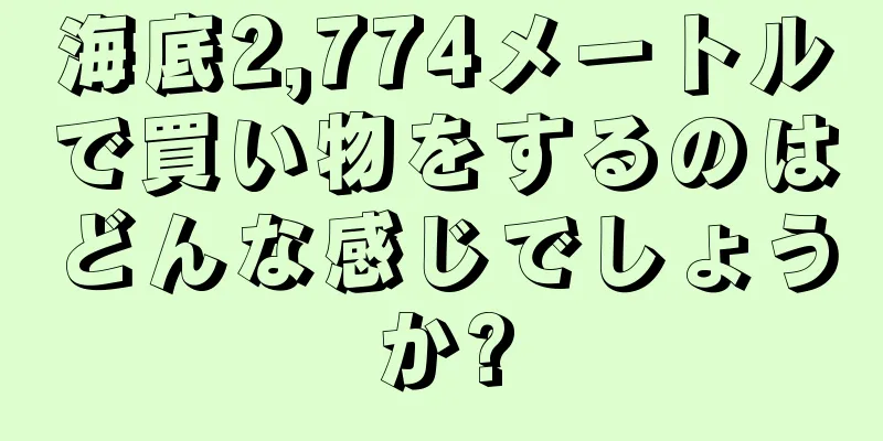 海底2,774メートルで買い物をするのはどんな感じでしょうか?