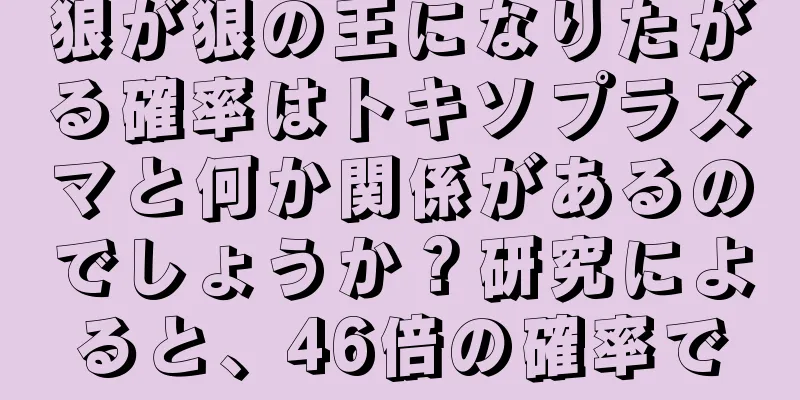 狼が狼の王になりたがる確率はトキソプラズマと何か関係があるのでしょうか？研究によると、46倍の確率で