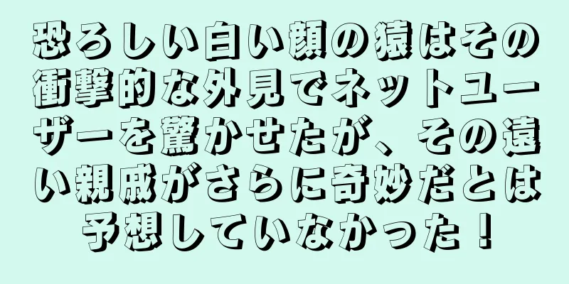 恐ろしい白い顔の猿はその衝撃的な外見でネットユーザーを驚かせたが、その遠い親戚がさらに奇妙だとは予想していなかった！
