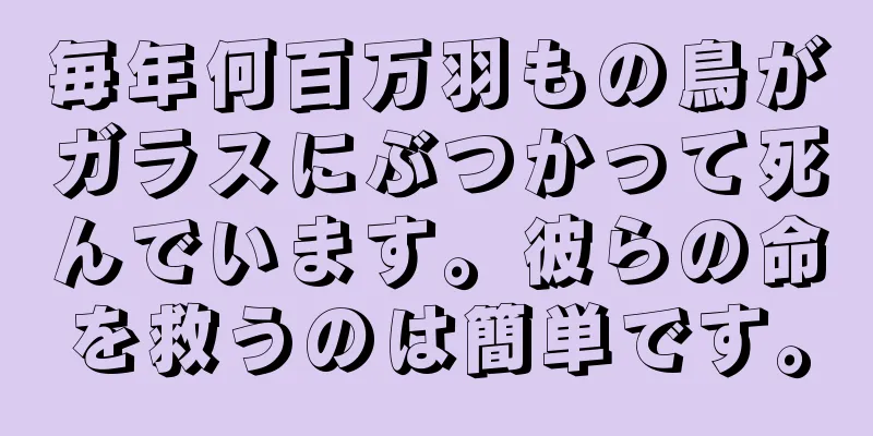 毎年何百万羽もの鳥がガラスにぶつかって死んでいます。彼らの命を救うのは簡単です。