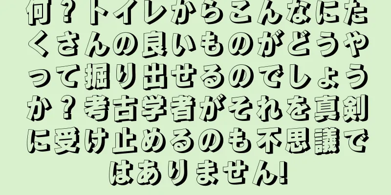 何？トイレからこんなにたくさんの良いものがどうやって掘り出せるのでしょうか？考古学者がそれを真剣に受け止めるのも不思議ではありません!