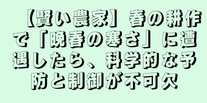 【賢い農家】春の耕作で「晩春の寒さ」に遭遇したら、科学的な予防と制御が不可欠