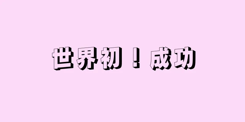 世界初！成功