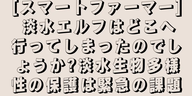 [スマートファーマー] 淡水エルフはどこへ行ってしまったのでしょうか?淡水生物多様性の保護は緊急の課題