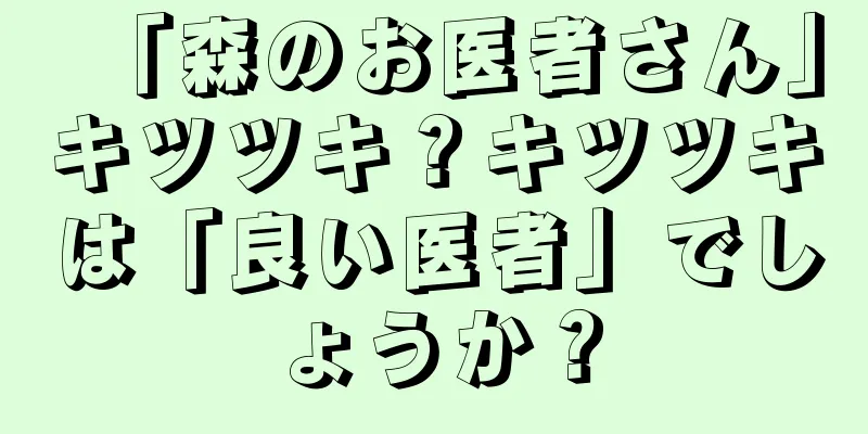「森のお医者さん」キツツキ？キツツキは「良い医者」でしょうか？
