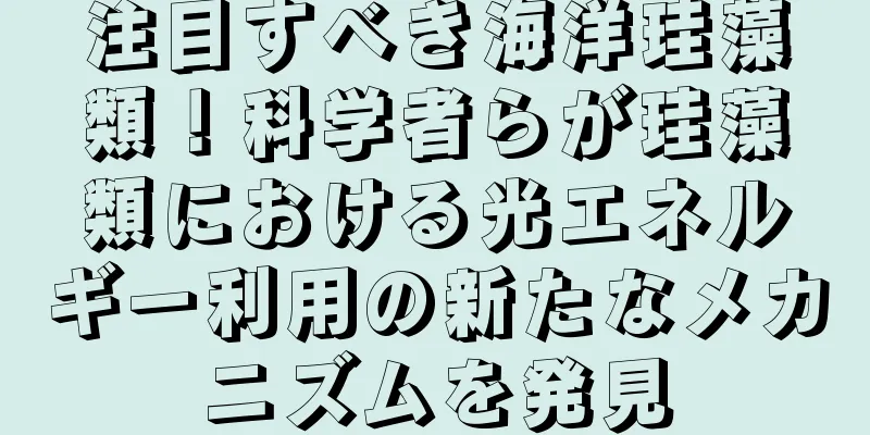 注目すべき海洋珪藻類！科学者らが珪藻類における光エネルギー利用の新たなメカニズムを発見