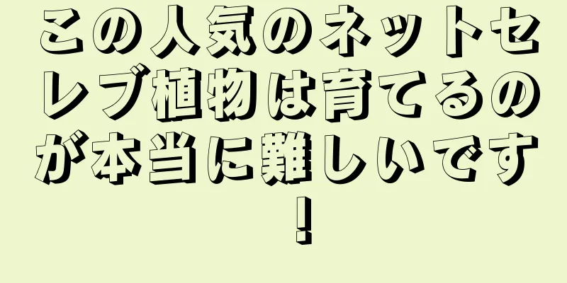 この人気のネットセレブ植物は育てるのが本当に難しいです！