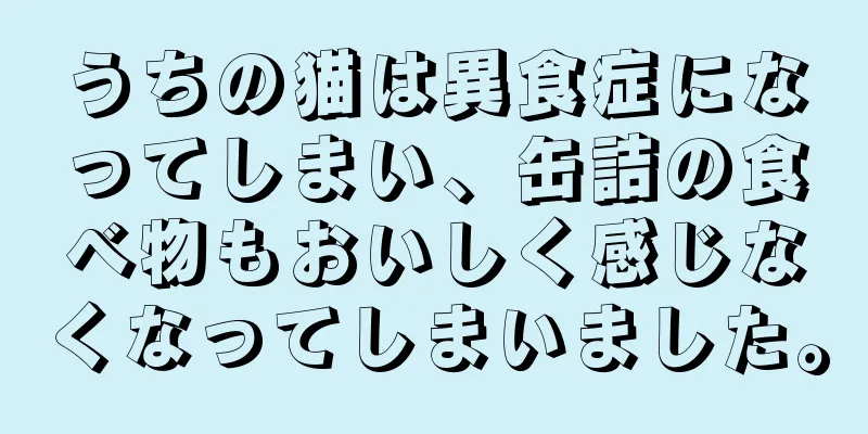 うちの猫は異食症になってしまい、缶詰の食べ物もおいしく感じなくなってしまいました。