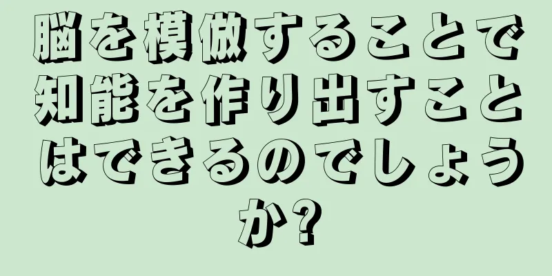 脳を模倣することで知能を作り出すことはできるのでしょうか?