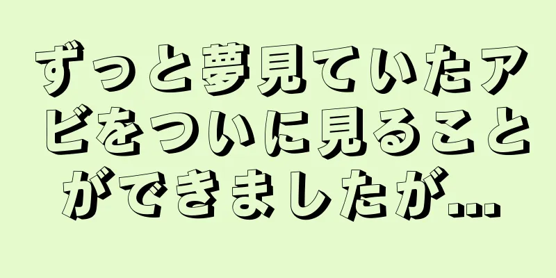 ずっと夢見ていたアビをついに見ることができましたが...